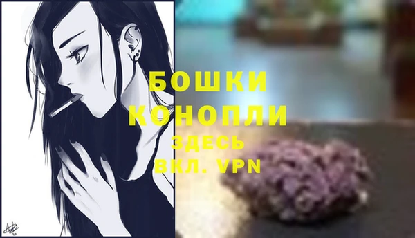 spice Липки