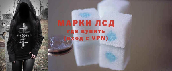 spice Липки